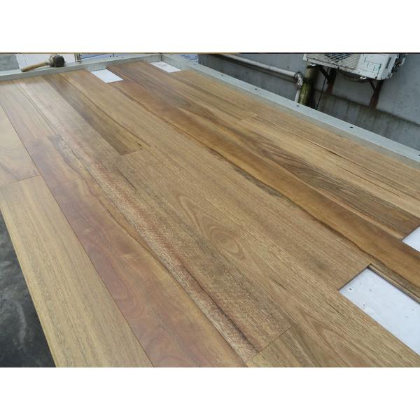 Quality Matt Australian Spotted Gum Solid Timber Flooring , Tongue And Groove