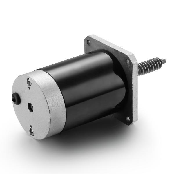 Adjustable Speed and Reverse 24V 100W Brushed DC Motor for Black Industrial Machinery
