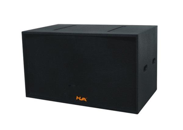 Professional Portable Sound System 1600W RMS Double18 inch Bass Speakers