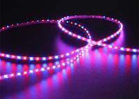 SMD3210 RVB 3mm Large Bande Led Adressable 150LEDs/M 5VDC