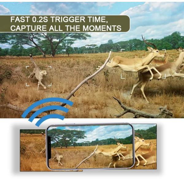 Wildlife Trail Camera HD Low Glow Arction 48MP IP65 Waterproof Outdoor Photo Trap with Night Vision