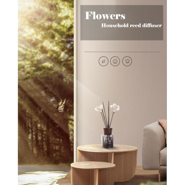 Wood Cap Reed Diffuser Sticks Glass Bottle Custom Fragrant Packaging Box