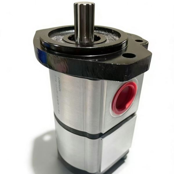 670S63ZX Hydraulic Double Gear Pump PLP20 for CASAPPA