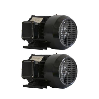 Energy Saving Magnetic Driven Motor Insulation Grade B Industrial