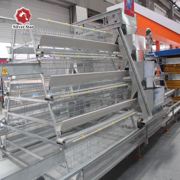 Automatic Hot Galvanized Layer Chicken Cage System 4 Birds Per Cell