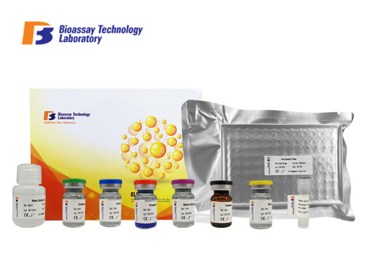 Laboratory Research Human ELISA Kit YKL-40 CHI3L1 Enzyme - Linked Immunosorbent Assay Kit Customized