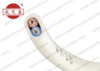 300 / cabo 500V elétrico de cobre flexível liso com fogo - camada resistente