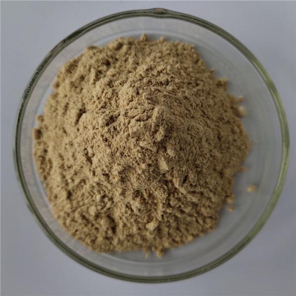 Chinese Dodder Seed Extract For Tonifying Kidney