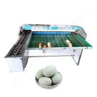 Machine de tri des œufs pour les poules Gradeuse d'œufs Ferme de tri des œufs