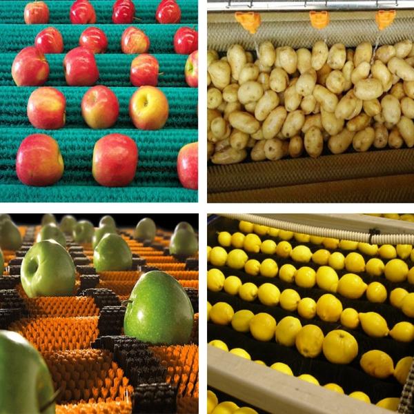 Tufted Bristle Custom Industrial Brushes Cylindrical Fruit Polishing Cleaning Brush Roller