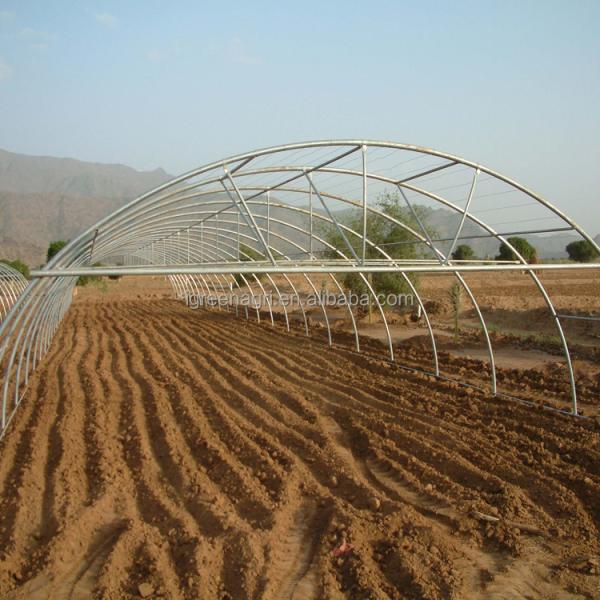 IGreen Small Single Layer Agricultural Greenhouse with Film Cover for Middle East & Gulf Countries and Desert Climate