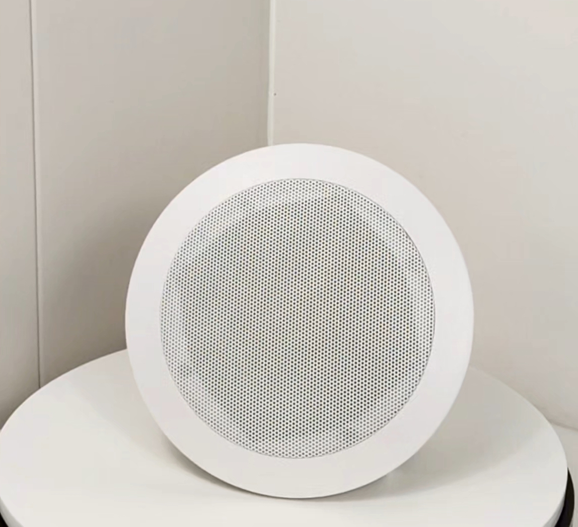 6 Inch Coaxial Speaker 30W Commercial Ceiling Speaker OEM ODM Loudspeaker