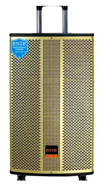 ODM Bluetooth Amplifier Outdoor Speaker Sound System For Stage Performance