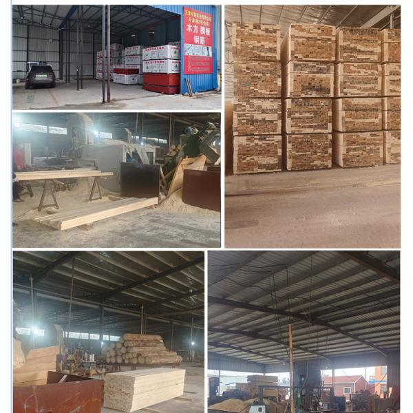 Black Birch Ply 18mm 21mm Birchwood Plywood Template 1250x2550mm