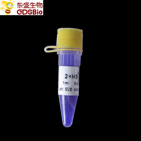 HS QPCR Mastermix P2081 1ml High Reproducibility