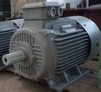 Alternador de corrente alternada de ímã permanente de três fases natural resfriado para turbina eólica