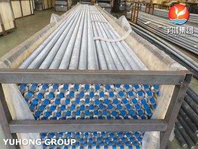 AL 1060 ASME SA269 TP304 Extruded Finned Tube Manufacturers Fin Material