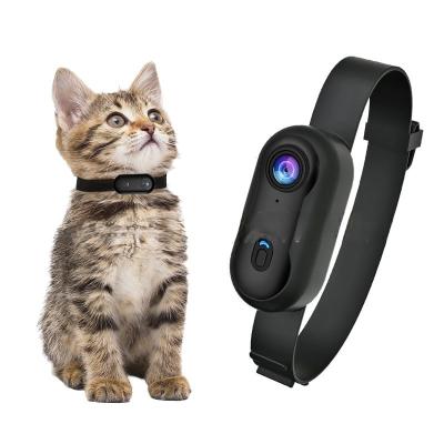 Small Night Vision Pet Wearable Camera Collar HD 1080P Two Way Audio Voice Control