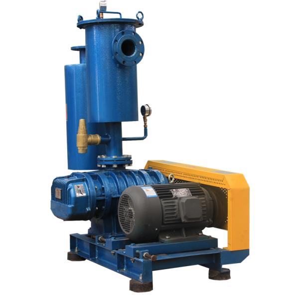 40KP Motor Driven Rotary 3kw Vacuum Roots Rotary Lobe Blower