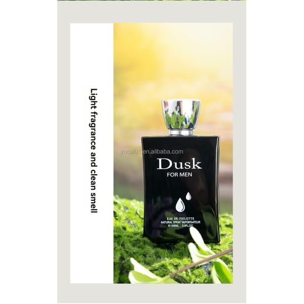 Floral Scent Perfume 100ML Wood fragrance Fresh Lasting Eau de Toilette for Urban Men