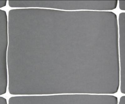 White Plant Support Netting Mesh For Pea / Bean , Hdpe Extruded Netting