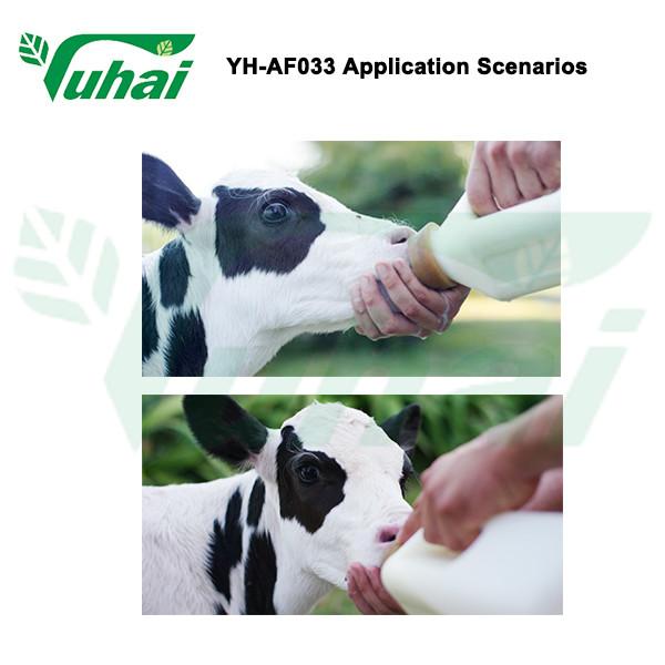 YH035 PP Garrafas de alimentação de vitelos 2 pinos Garrafa de grãos brancos em alimentação de animais