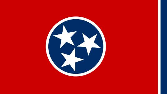 Bandera del estado de Tennessee Peso pesado Dupont Nylon Estrella bordada Grommets de latón