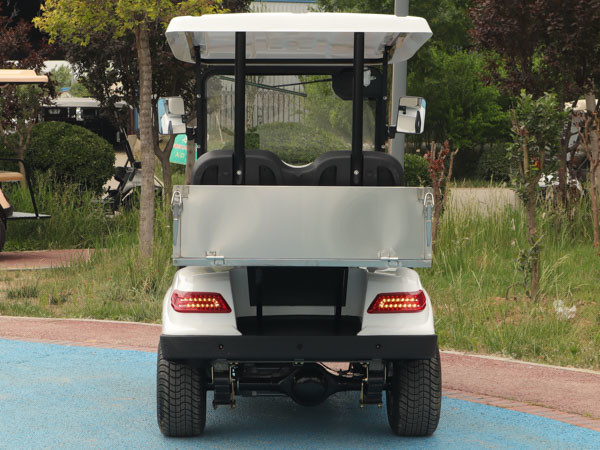 Подгонянная тележка для гольфа 60В 48 вольт универсального электрического груза
