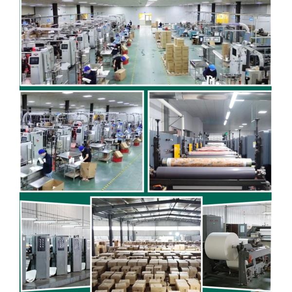 Caja de plantación hidropónica de plástico PET blanco cuadrado reutilizable y personalizada para semillas de plantas de invernadero