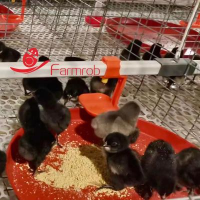 3 Tiers-8 Tiers Poultry Battery Cage System Optimized Consumption Chick Rearing Cage