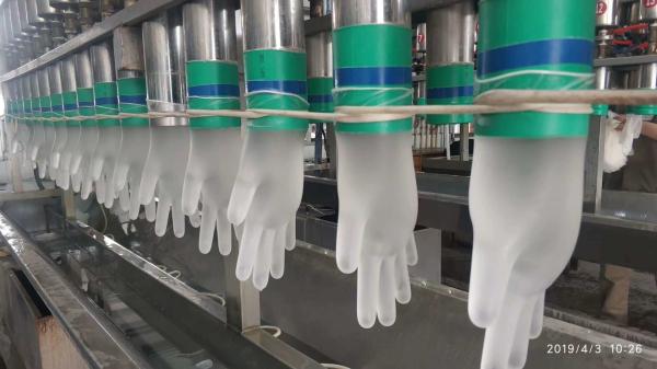 Clear Disposable Vinyl Exam Gloves With Rolled Rim Power Free Wear Resistant