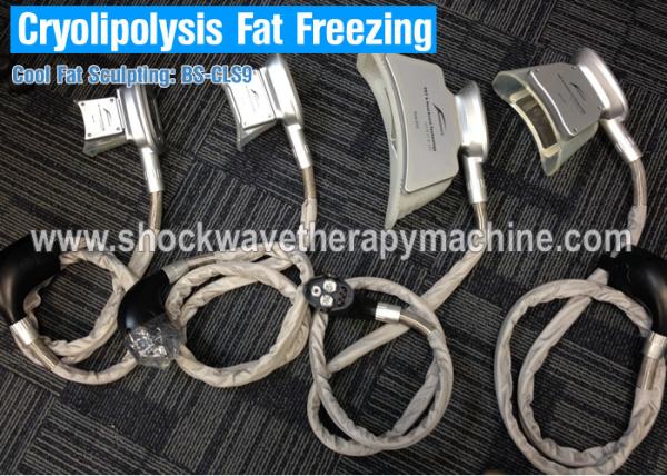 4 Handles Cryolipolysis Weight Loss Equipment Slimming Machine For Fast Fat Reduction