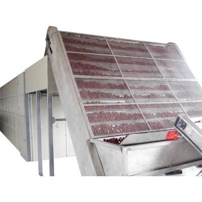 Air Energy Heat Source Continuous Belt Dryers Single Layer Multi Layer 10 To 40KW