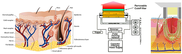New technology IPL skin rejuvenation machine for beauty salon clinic