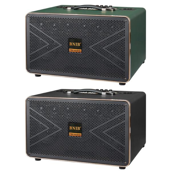 11KG Portable Outdoor Karaoke Speaker With Two Microphones 45Hz - 20KHz