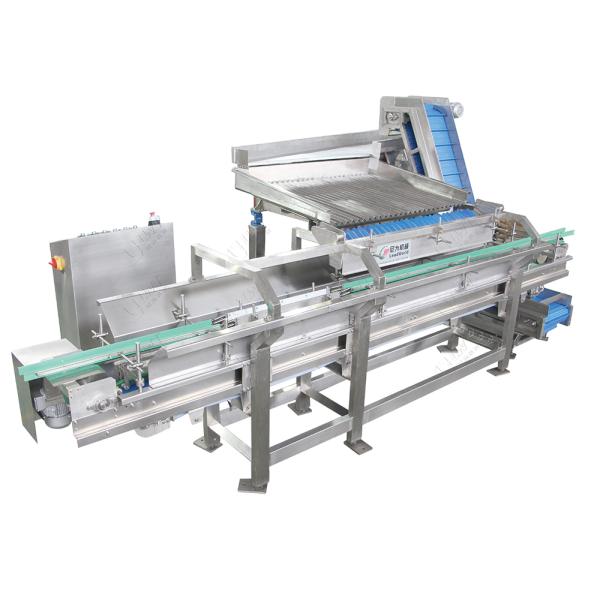Semi Vibration Solid Filling Machine