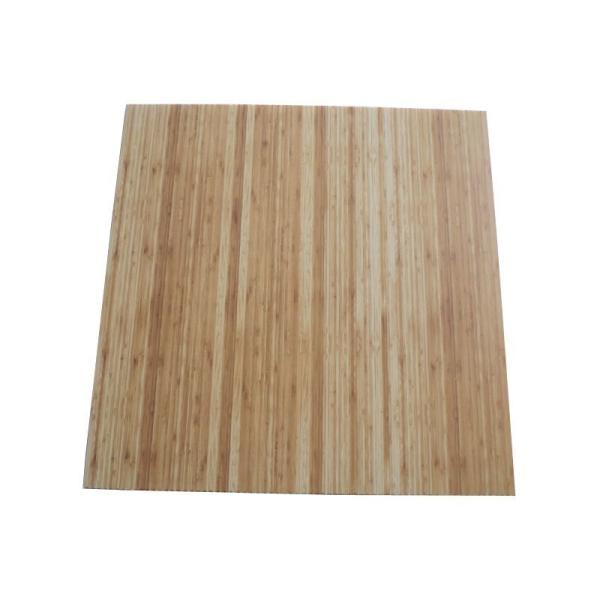 Customized Waterproof Plastic 3D Wall Panel for Interior Decoration Size 460mm*460mm