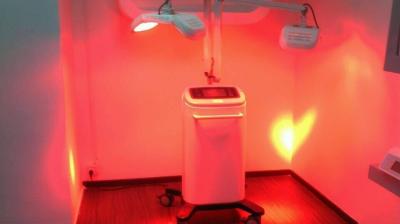 Do tecido macio vermelho do cuidado da terapia do laser do semicondutor do hospital a cura esbaforido congelada deve