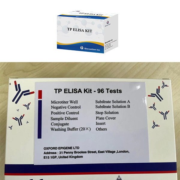 Мужчины и женщины Инфекция высокий сифилис TP Ab антитела ELISA тест-кит