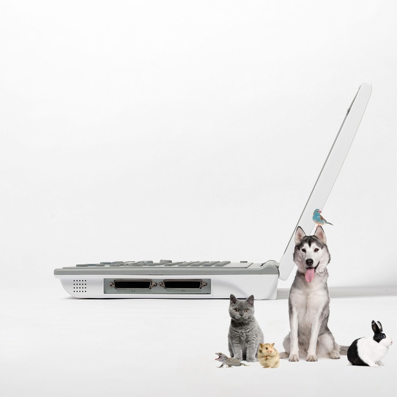 Hospital Outside Diagnostic Linear Ultrasound Machine Dog Ultrasound Machine Laptop Cow Pregnancy Sheep Scanner