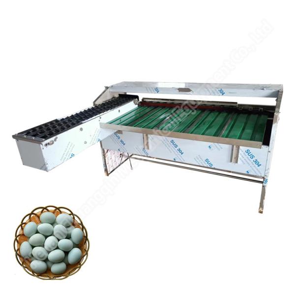 Machine de tri des œufs de canard, classificateur du poids des œufs, classificateur et machine de nettoyage des œufs