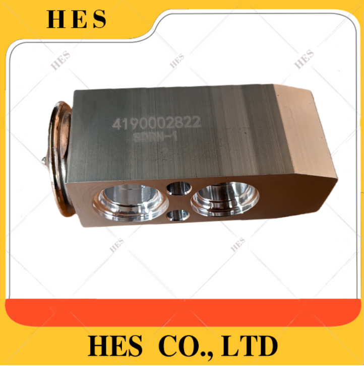 4190002822  AC  VALVE 