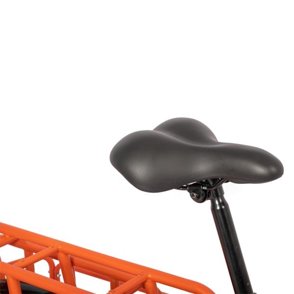 Aluminum Alloy Frame 36V 350W Dual Battery Long Range 80km Long Tail Ebike for Delivery Family Ebike