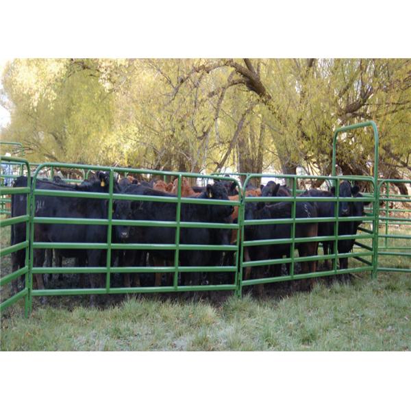 6 панелей поголовья рельса для коз, ворота и панели поголовья х 1.8м*Л 2.1м