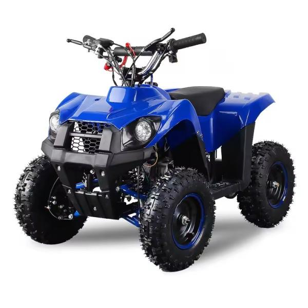 Mini Quad Bike 4 Wheels 49cc 2 Stroke Engine Pull Start Electric Start ATV Suitable