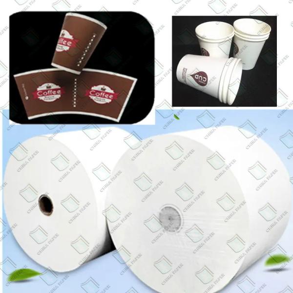 Papel revestido em PLA / PE branco ecológico para copos de sorvete
