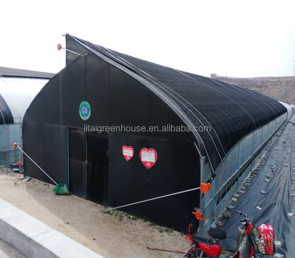 Maximize Mushroom Production with Customizable Single-Span Agricultural Greenhouses
