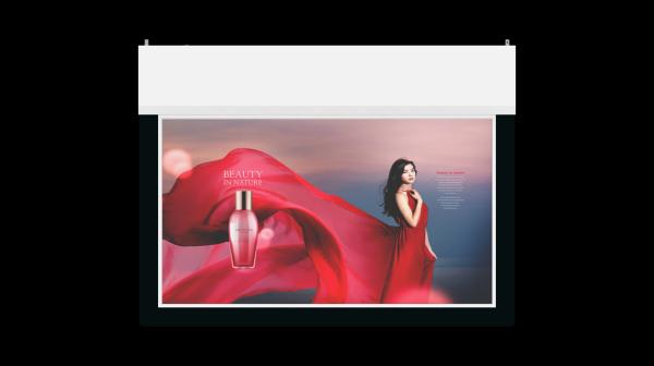 43-Inch Ultra-Thin Double-Sided Transparent LCD Digital Signage Poster Indoor Airport Retail Shopping Wayfinding Elevator 1-Year