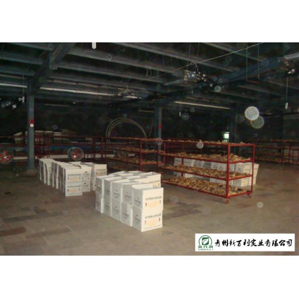 Medicinal Value Organic Fresh Ginger , Chinese Fresh Young Ginger For Swelling