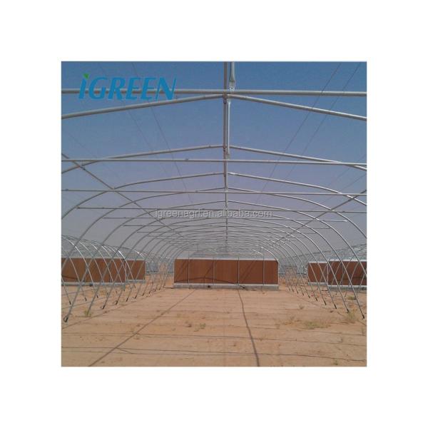 48mm/58mm Pipe Diameter Metal Frame Greenhouse for Vegetable at a Budget-Friendly